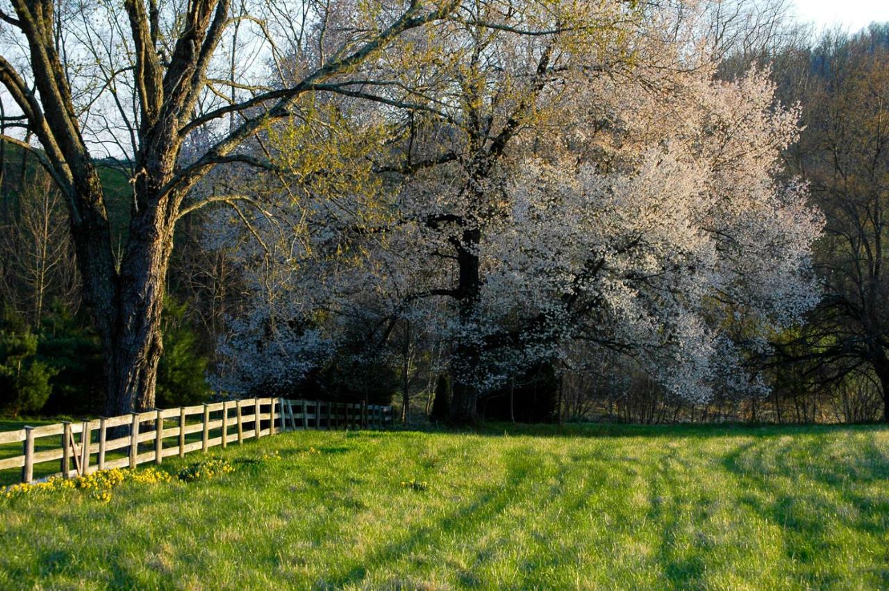 Walnut Run Farm Villa Woodville Eksteriør billede