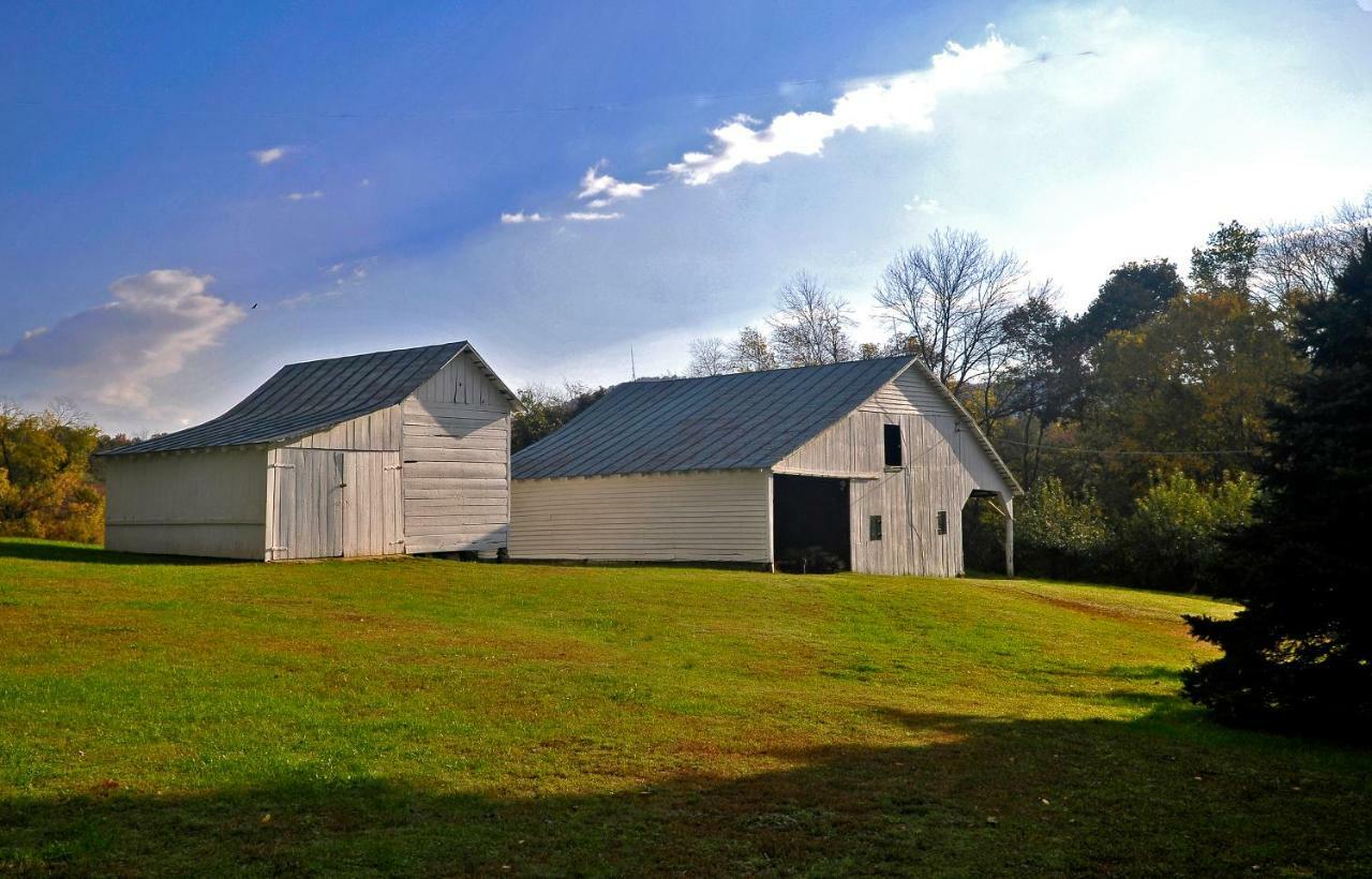 Walnut Run Farm Villa Woodville Eksteriør billede