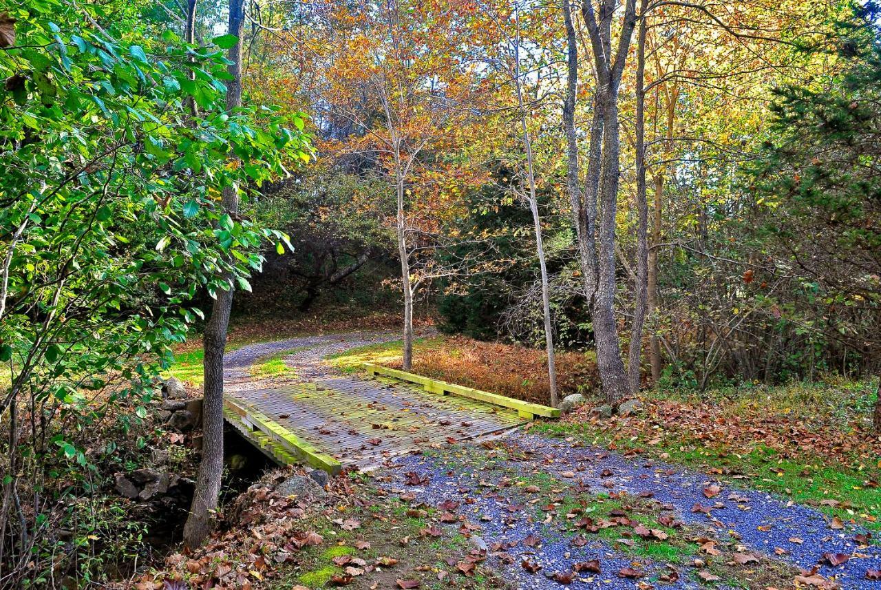Walnut Run Farm Villa Woodville Eksteriør billede